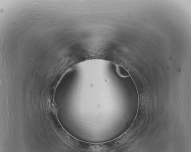 X0000073710703200608101839