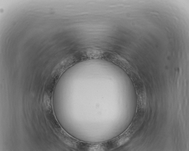 X0000073710705200608101839