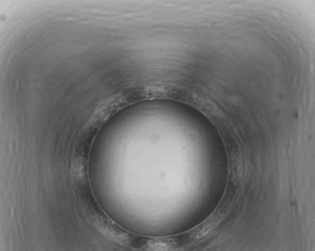 X0000073710706200608101839