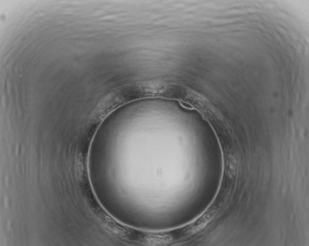 X0000073710707200608101839