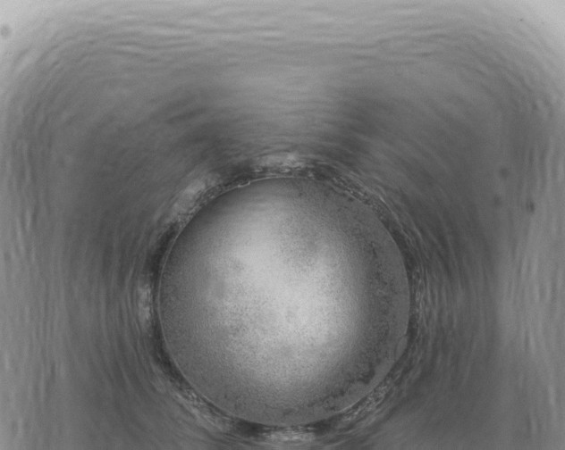 X0000073710708200608101839