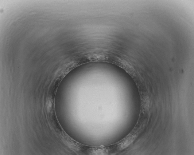 X0000073710709200608101839