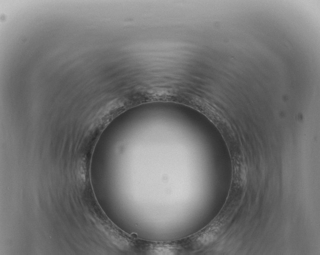 X0000073710710200608101839