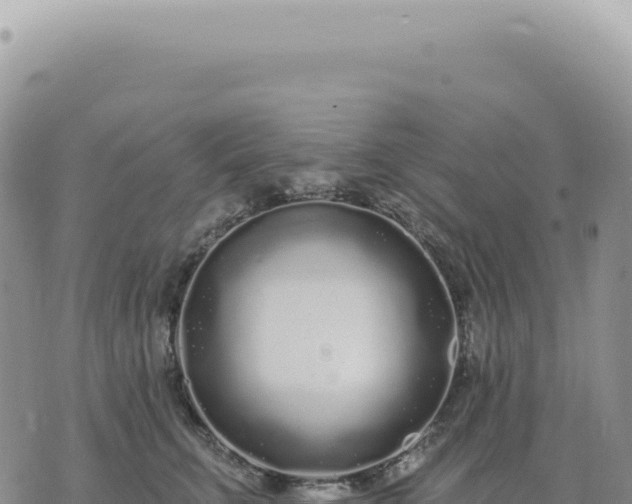 X0000073710711200608101839