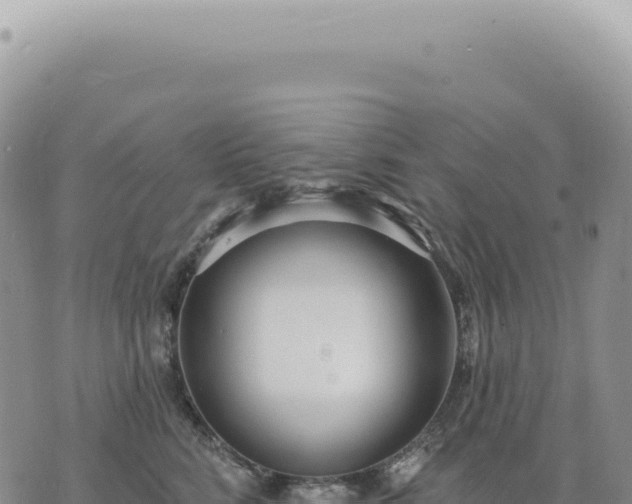 X0000073710712200608101839