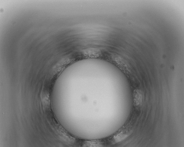 X0000073710713200608101839