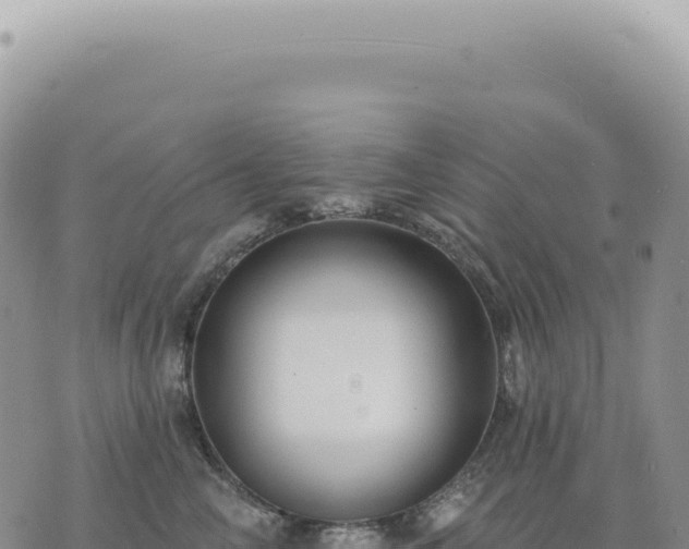 X0000073710714200608101839