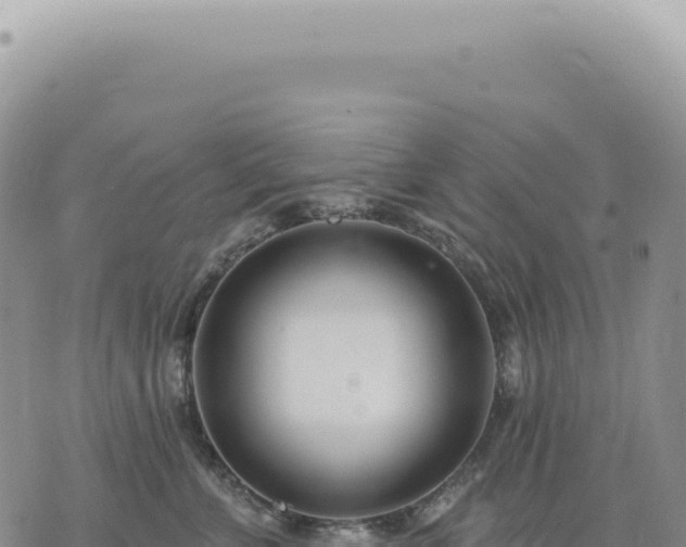 X0000073710715200608101839