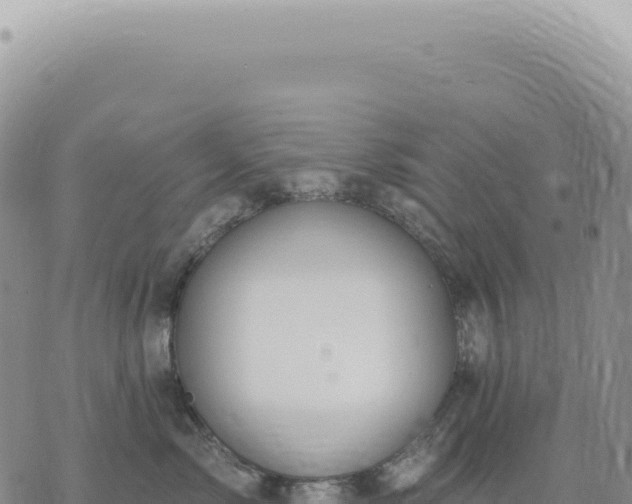 X0000073710717200608101839