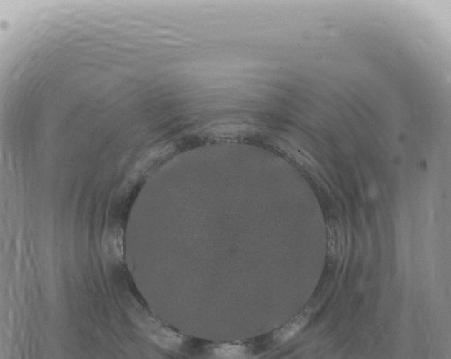 X0000073710718200608101839