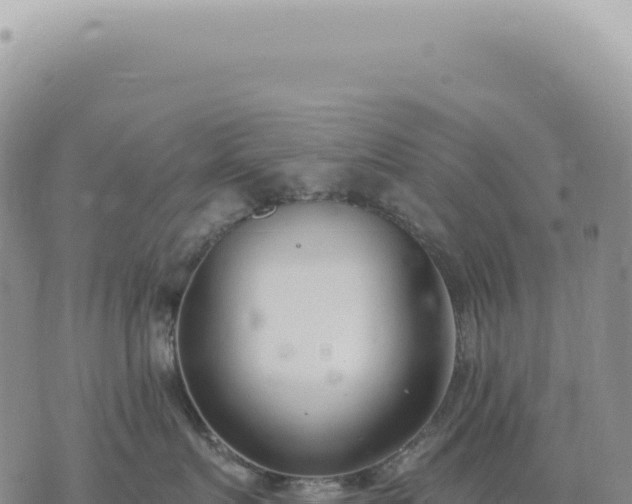 X0000073710719200608101839