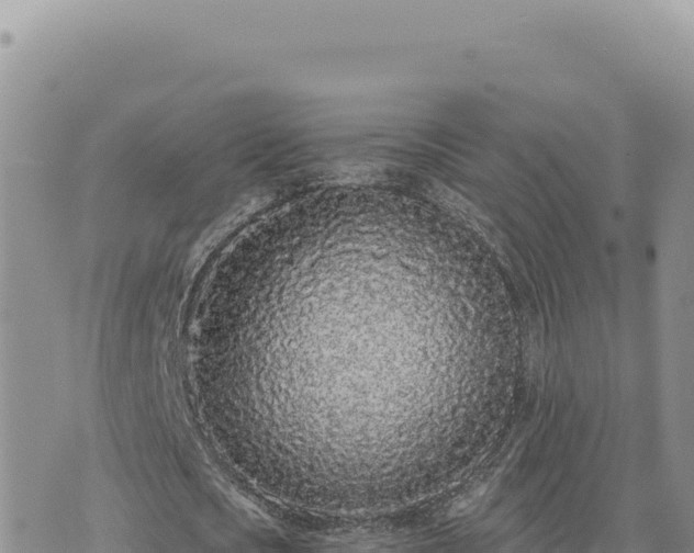 X0000073710721200608101838