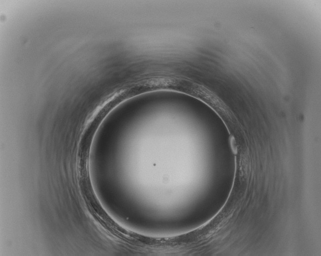 X0000073710722200608101838