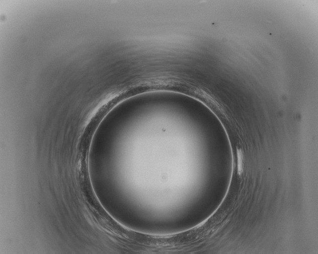 X0000073710723200608101838