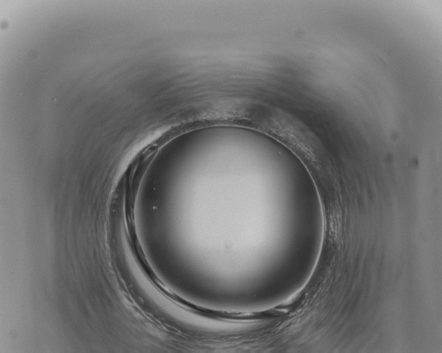 X0000073710724200608101838