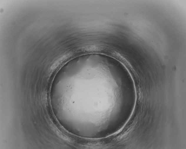 X0000073710725200608101838