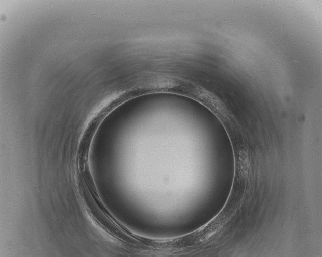 X0000073710726200608101838