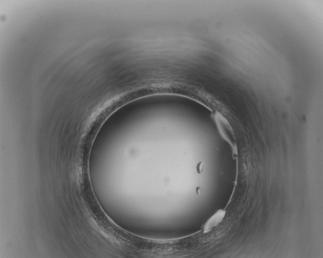 X0000073710728200608101838