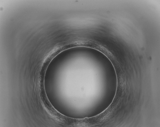 X0000073710730200608101838