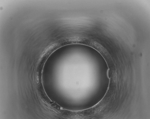 X0000073710731200608101838