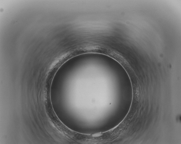 X0000073710732200608101838