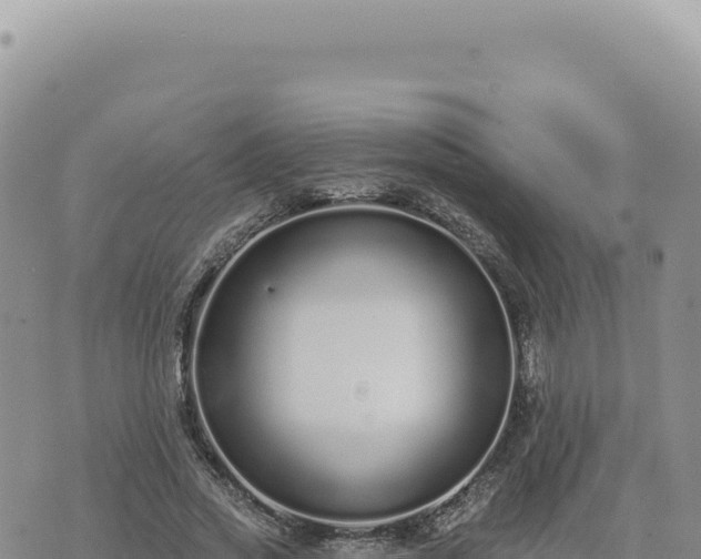 X0000073710733200608101838