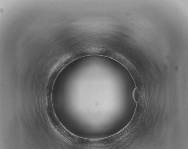 X0000073710734200608101838