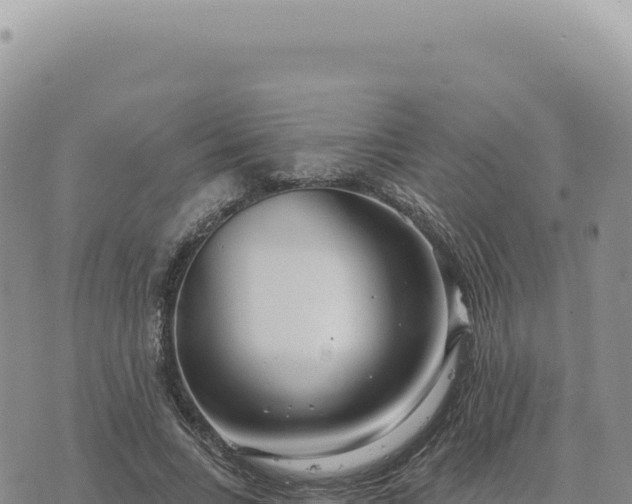 X0000073710735200608101838