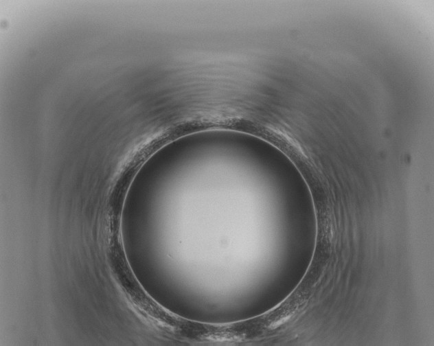 X0000073710736200608101838