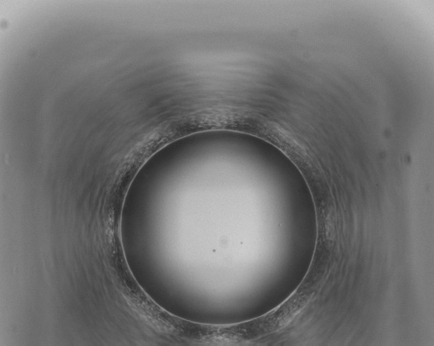 X0000073710737200608101838