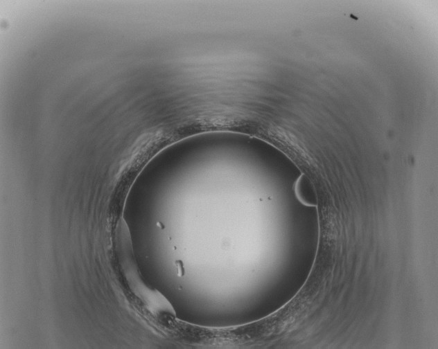 X0000073710738200608101838