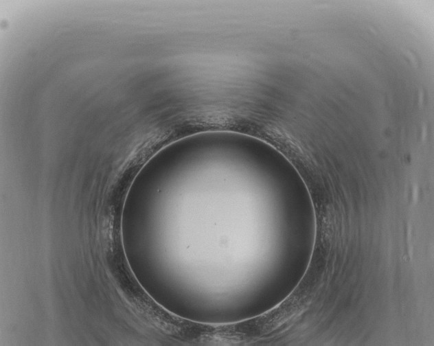 X0000073710739200608101838