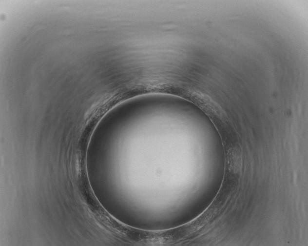 X0000073710740200608101838