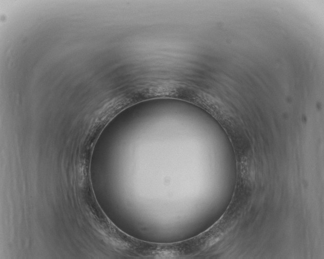 X0000073710741200608101838