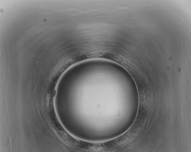 X0000073710742200608101838