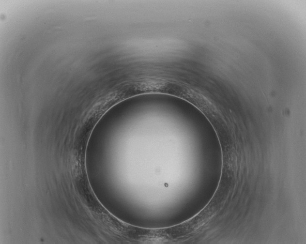 X0000073710743200608101838