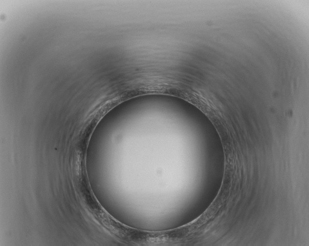 X0000073710744200608101838