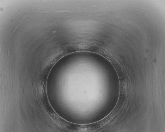 X0000073710746200608101838