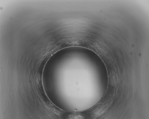 X0000073710747200608101838