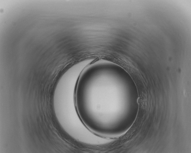 X0000073710748200608101838