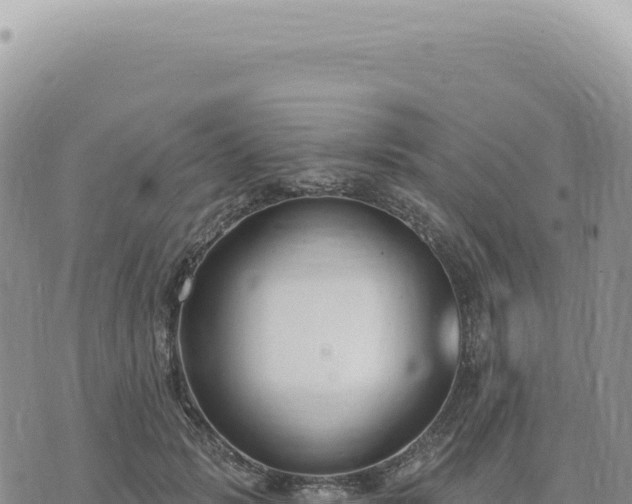 X0000073710749200608101838