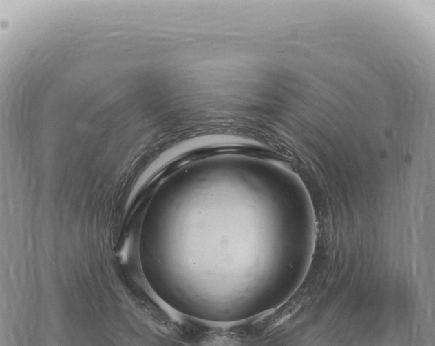 X0000073710750200608101838