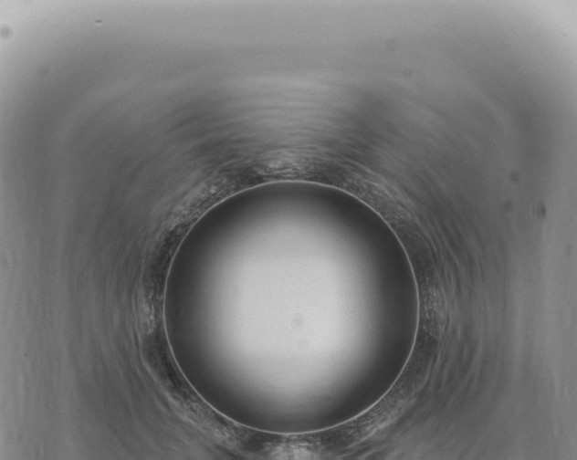 X0000073710751200608101838