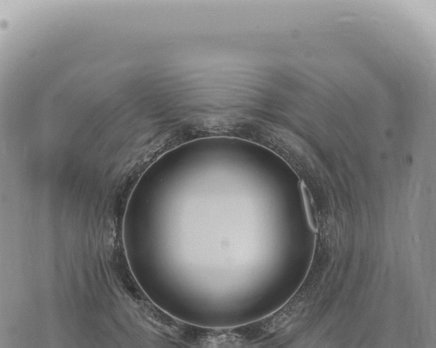 X0000073710752200608101838