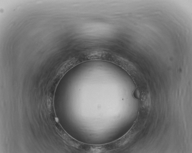 X0000073710753200608101838