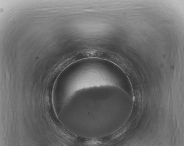 X0000073710754200608101838