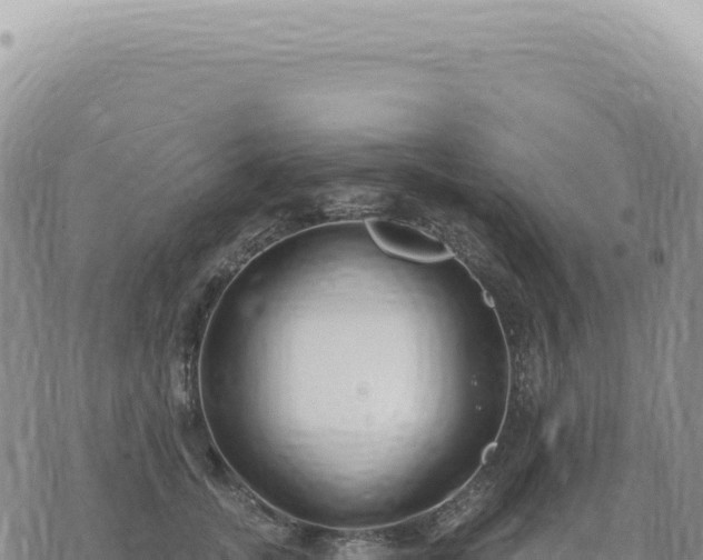 X0000073710755200608101838