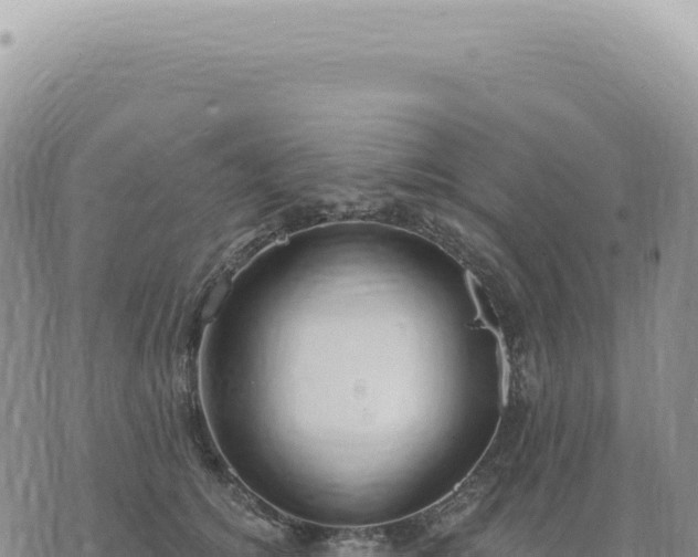 X0000073710756200608101838