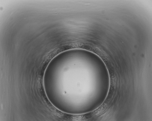 X0000073710757200608101838