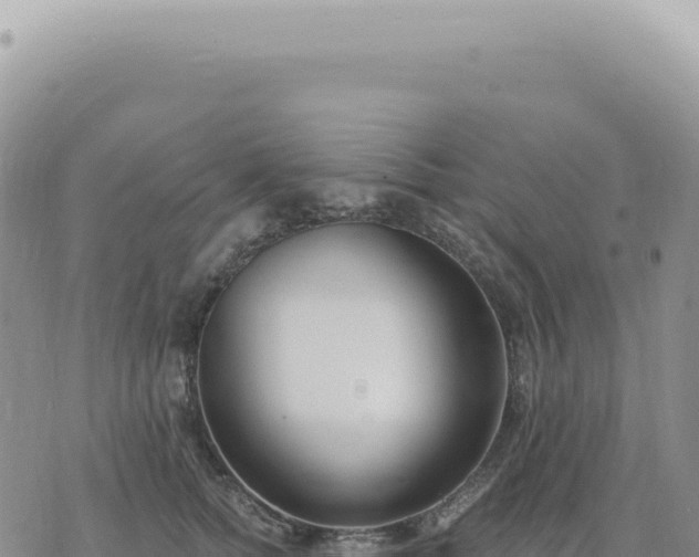 X0000073710758200608101839